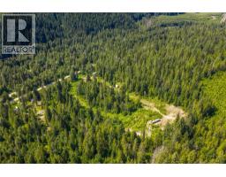 7455 19 Mile Road, Revelstoke, BC V0E2S0 Photo 9
