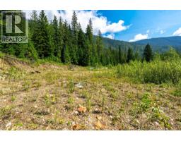 7455 19 Mile Road, Revelstoke, BC V0E2S0 Photo 17