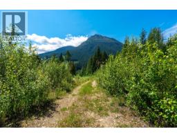 7455 19 Mile Road, Revelstoke, BC V0E2S0 Photo 20