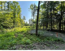 221 Fire Route 5, North Kawartha, ON K0L3E0 Photo 16