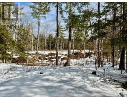 221 Fire Route 5, North Kawartha, ON K0L3E0 Photo 21