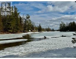 221 Fire Route 5, North Kawartha, ON K0L3E0 Photo 19