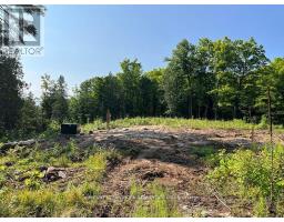 221 Fire Route 5, North Kawartha, ON K0L3E0 Photo 14