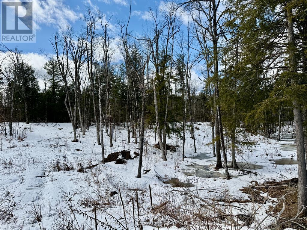 221 FIRE ROUTE 5 - Image 23