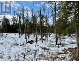 221 Fire Route 5, North Kawartha, ON K0L3E0 Photo 23