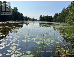 221 Fire Route 5, North Kawartha, ON K0L3E0 Photo 13