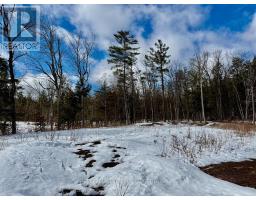 221 Fire Route 5, North Kawartha, ON K0L3E0 Photo 24