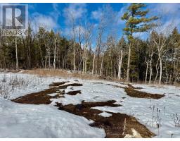 221 Fire Route 5, North Kawartha, ON K0L3E0 Photo 25