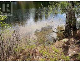 Lot 37 Sandy Shores Trail, Madawaska Valley, ON K0J1B0 Photo 6