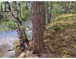 Lot 37 Sandy Shores Trail, Madawaska Valley, ON K0J1B0 Photo 7