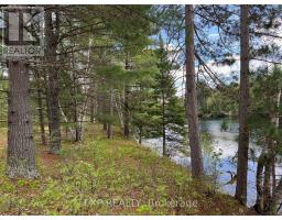Lot 37 Sandy Shores Trail, Madawaska Valley, ON K0J1B0 Photo 8