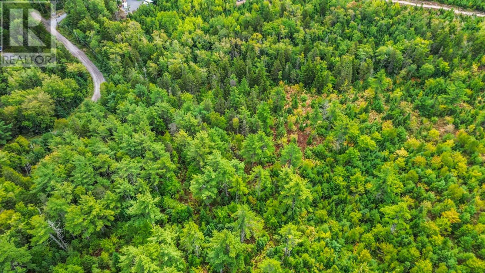 Property 4 of 30 of Lot P-5-3 Spruce Drive