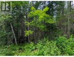 47 Acres North Barnaby Road, Barnaby, NB E1N6G4 Photo 6