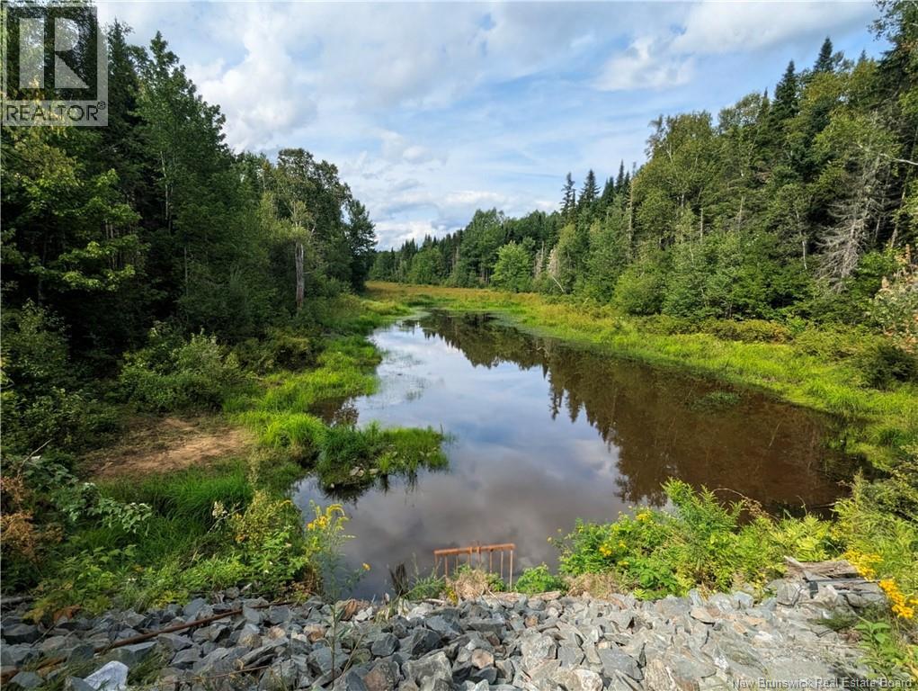 47 Acres North Barnaby Road, Miramichi, New Brunswick, E1N6G4, Miramichi, New Brunswick — photo 3 of 5