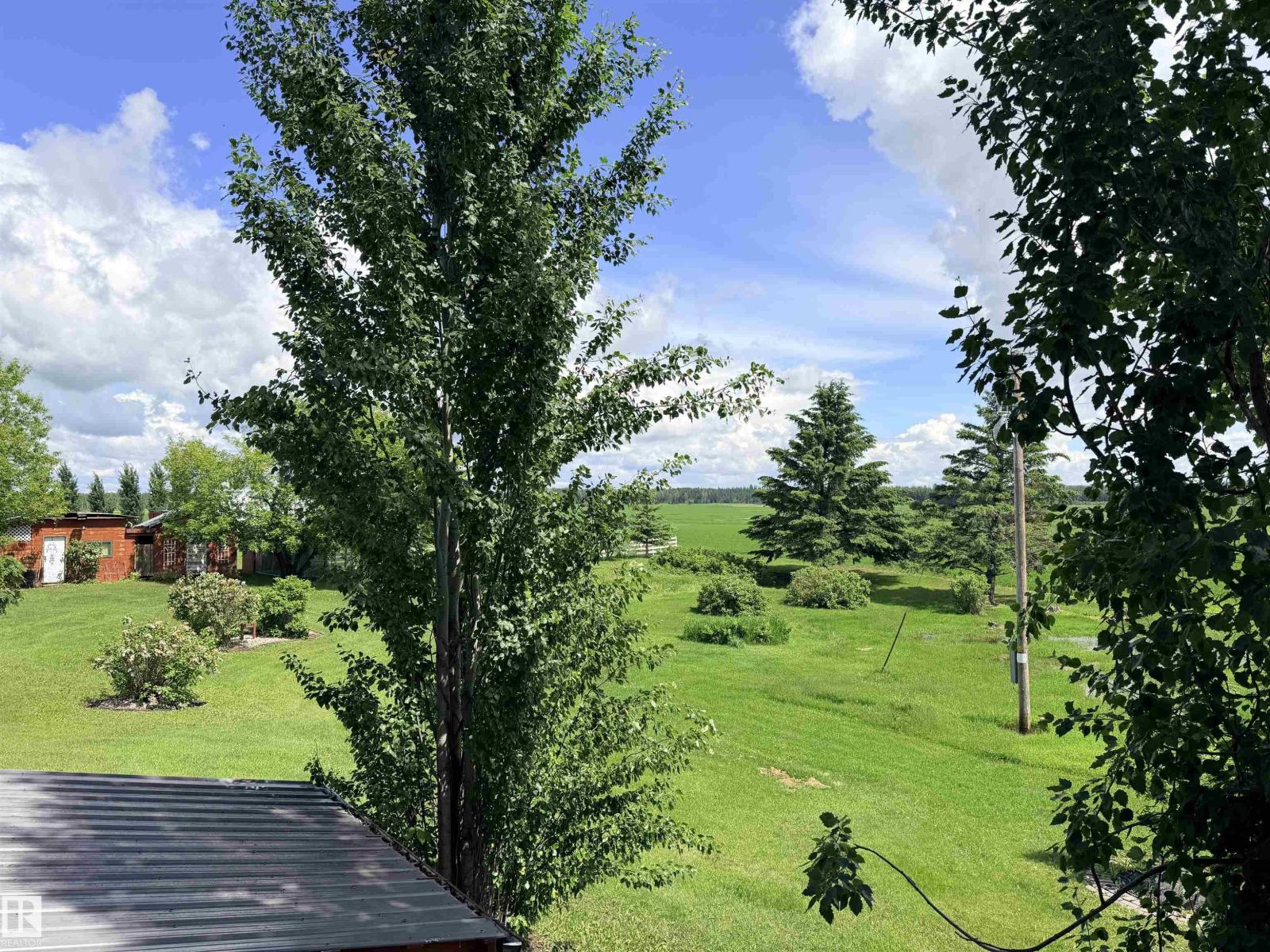 Photo 55