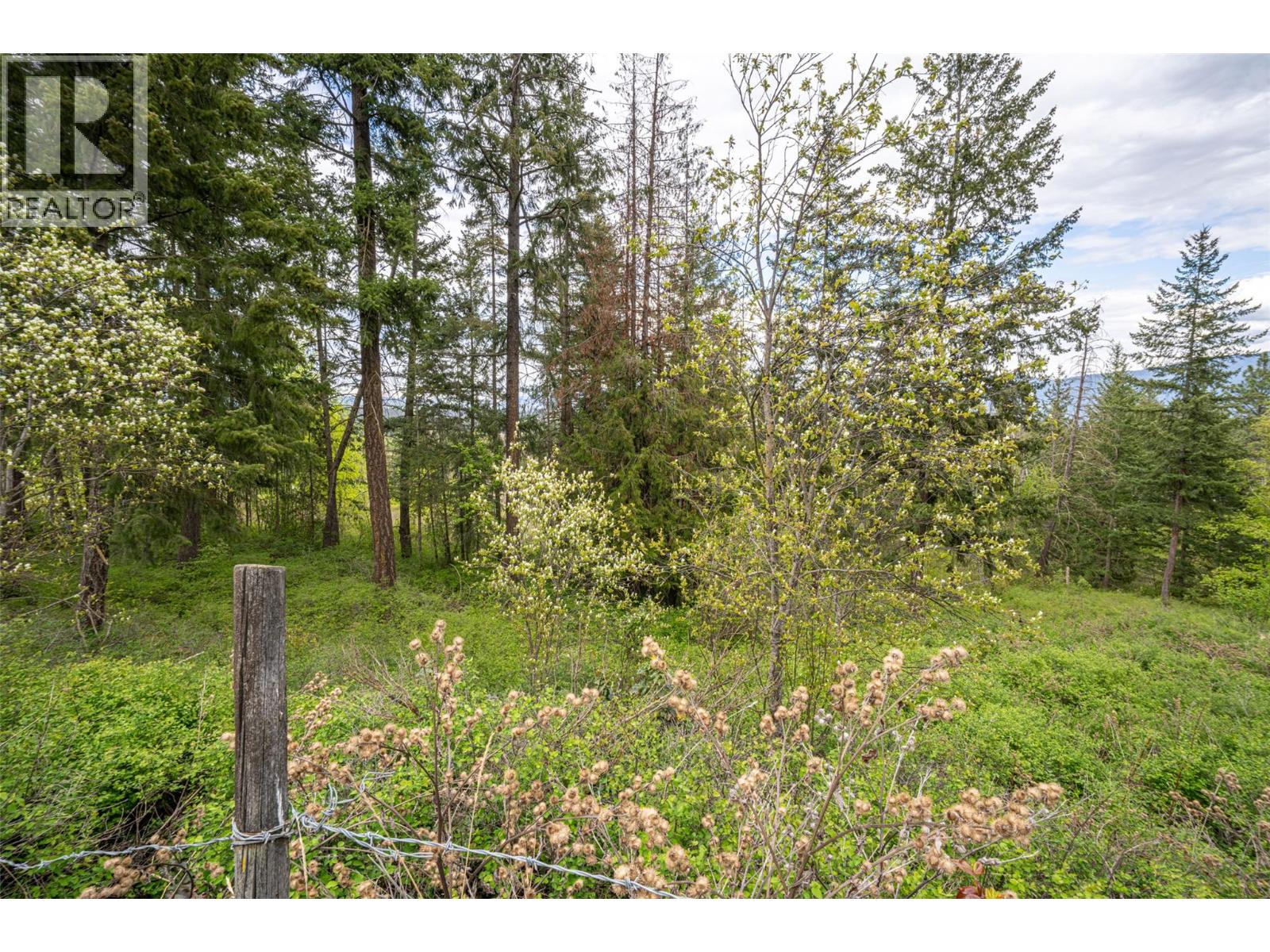 4358 Chamberlaine Road - 68