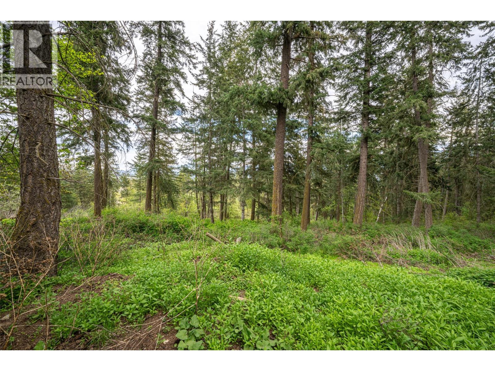 4358 Chamberlaine Road - 65