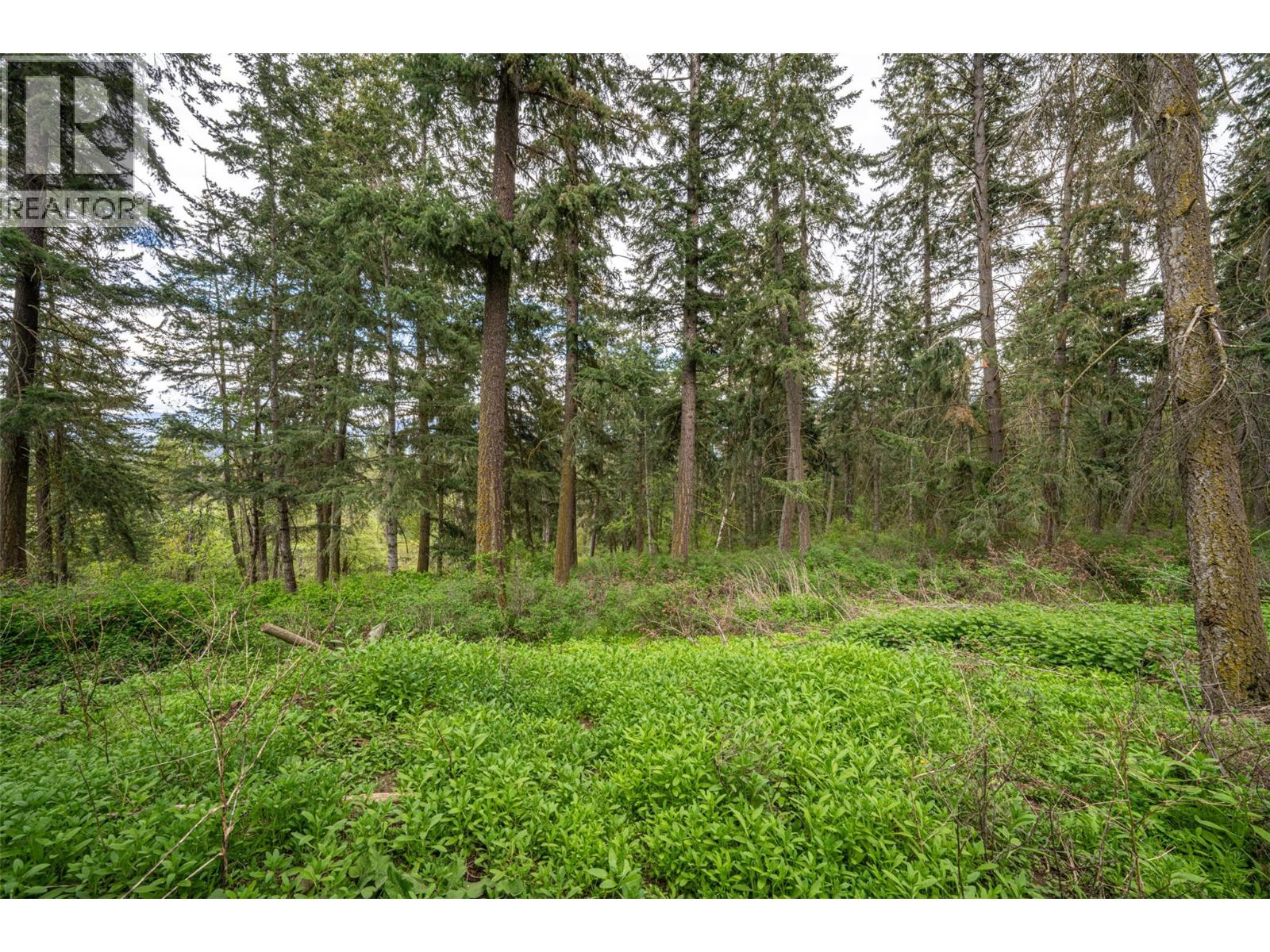 4358 Chamberlaine Road - 66