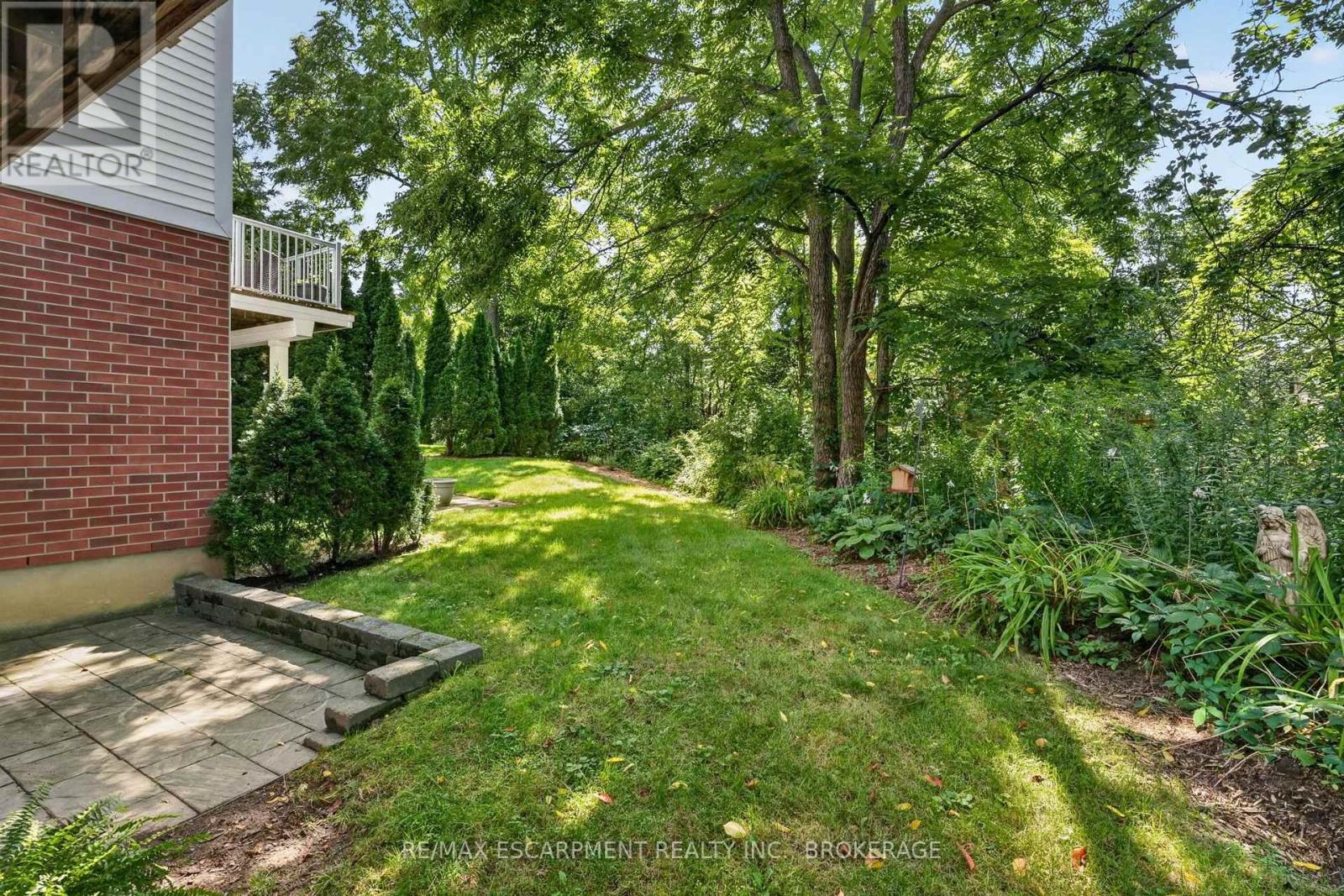 3 BLACK WALNUT COMMON - Image 37