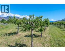 294 Road 18 Road, Oliver, BC V0H1T1 Photo 40