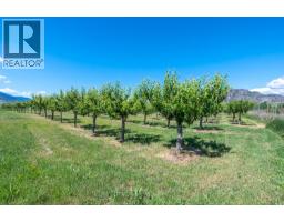294 Road 18 Road, Oliver, BC V0H1T1 Photo 37