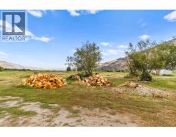 294 Road 18 Road, Oliver, BC V0H1T1 Photo 62