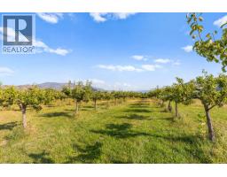 294 Road 18 Road, Oliver, BC V0H1T1 Photo 71