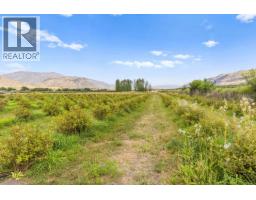 294 Road 18 Road, Oliver, BC V0H1T1 Photo 55