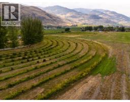 294 Road 18 Road, Oliver, BC V0H1T1 Photo 84