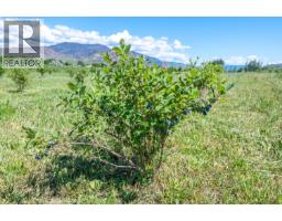 294 Road 18 Road, Oliver, BC V0H1T1 Photo 34