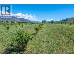 294 Road 18 Road, Oliver, BC V0H1T1 Photo 33