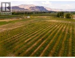 294 Road 18 Road, Oliver, BC V0H1T1 Photo 88