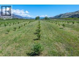 294 Road 18 Road, Oliver, BC V0H1T1 Photo 35