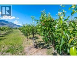 294 Road 18 Road, Oliver, BC V0H1T1 Photo 38