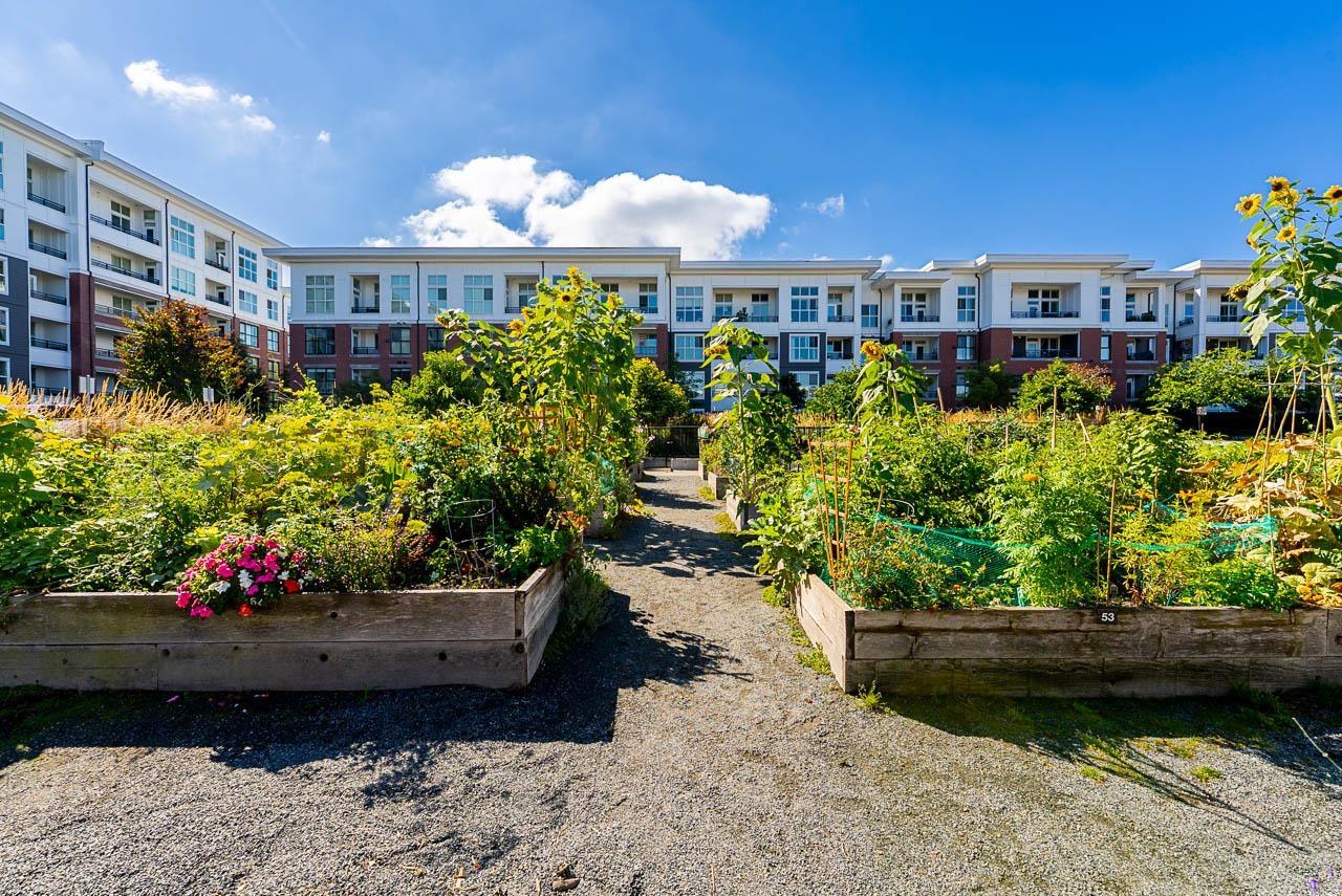 C603 8150 207 STREET, Langley