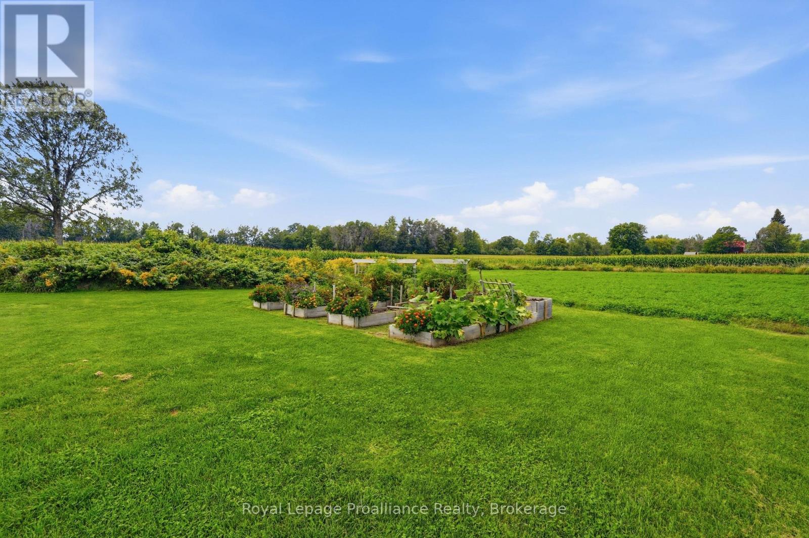477 ALLORE ROAD - Image 36