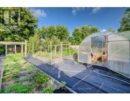 340 Sligo Road W, Wellington North, ON N0G2L1 Photo 34