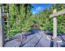 340 Sligo Road W, Wellington North, ON N0G2L1 Photo 35