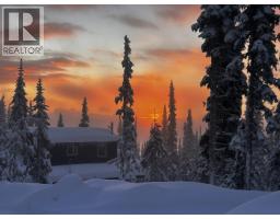 Pt. St Lt 7 Alpine Way, Smithers, BC V0J2N0 Photo 6