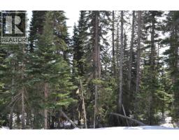 Pr. St Lt 8 Alpine Way, Smithers, BC V0J2N0 Photo 6