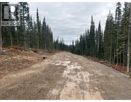 Pst Lot-12 Alpine Way, Smithers, BC V0J2N0 Photo 8