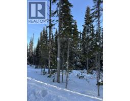 Pst Lot-12 Alpine Way, Smithers, BC V0J2N0 Photo 9