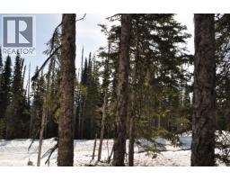 Pt. St 4 Alpine Way, Smithers, BC V0J2N0 Photo 6