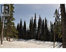 Pt. St 4 Alpine Way, Smithers, BC V0J2N0 Photo 7