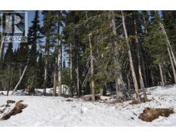 Pt. St 4 Alpine Way, Smithers, BC V0J2N0 Photo 9