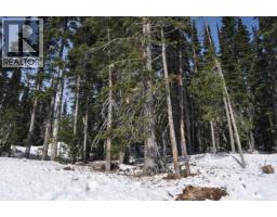 Pt. St 4 Alpine Way, Smithers, BC V0J2N0 Photo 8