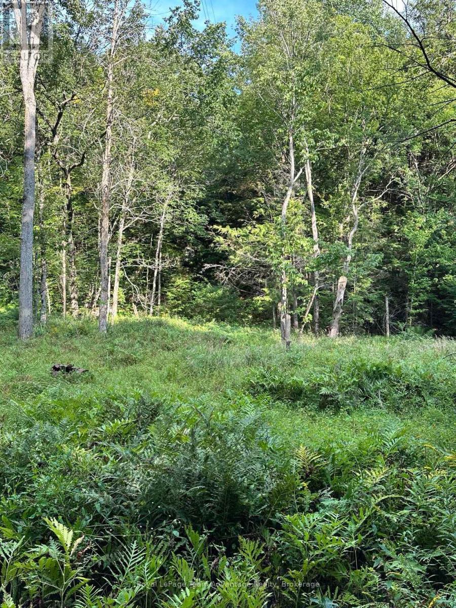 94 CRANE LAKE W/A - Image 13