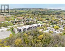 224 - 121 Mary Street, Clearview, ON L0M1G0 Photo 33