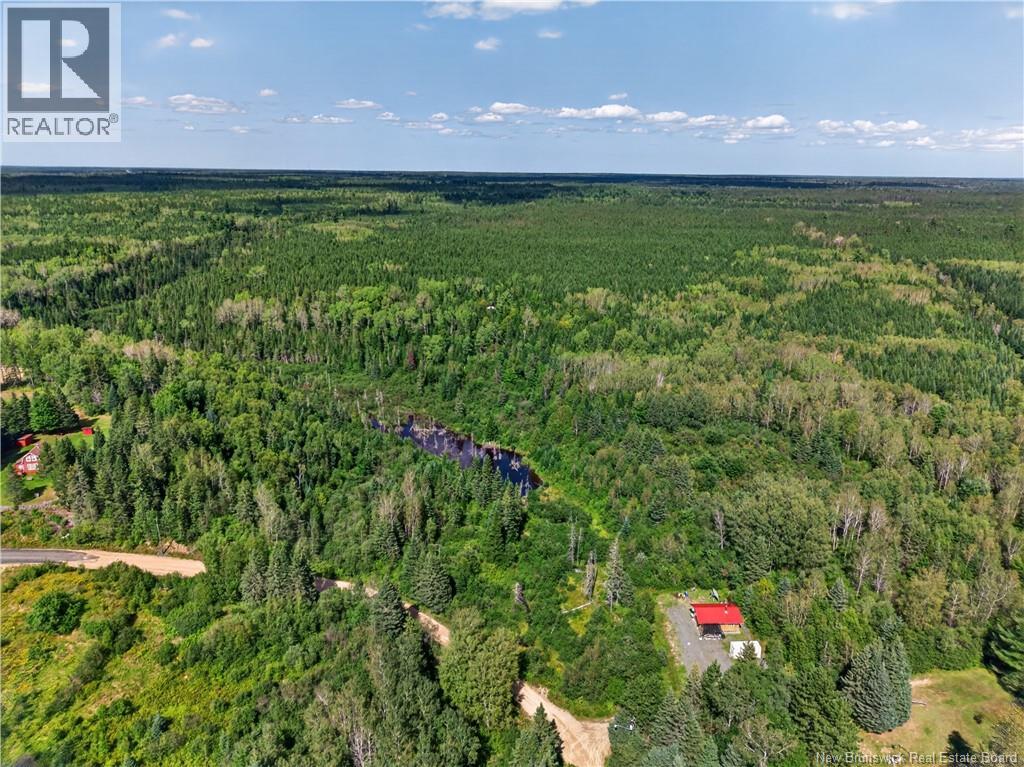 161 Kenna Road - 19