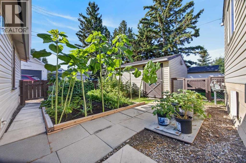 1223 Downie Street - 31